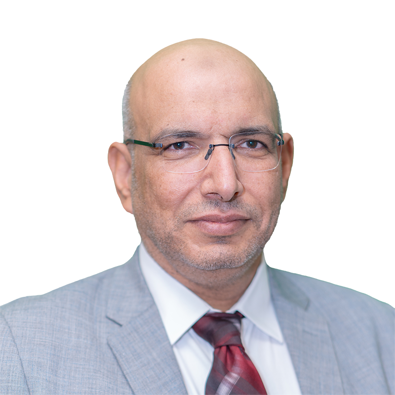 أ.د محمد حسن النويهي