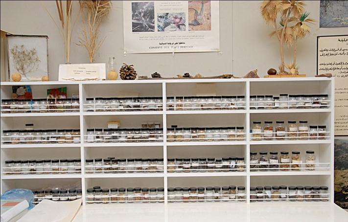 The Herbarium