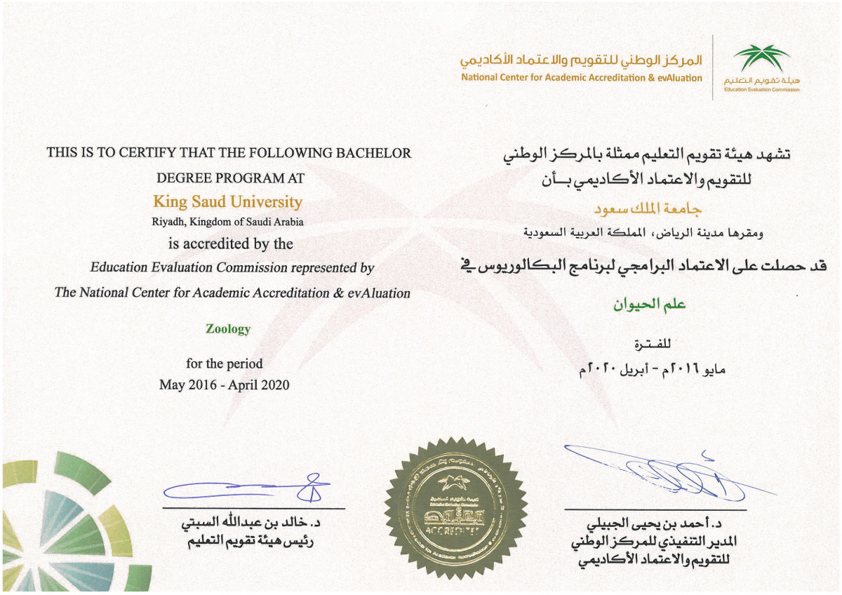نموذج رسالة ماجستير جامعة الملك سعود Risala Blog