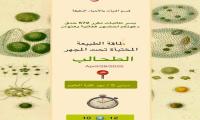 طاقة الطبيعة المختبأة تحت المجهر